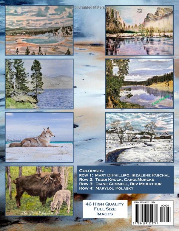 Yellowstone: A Grayscale Coloring Book