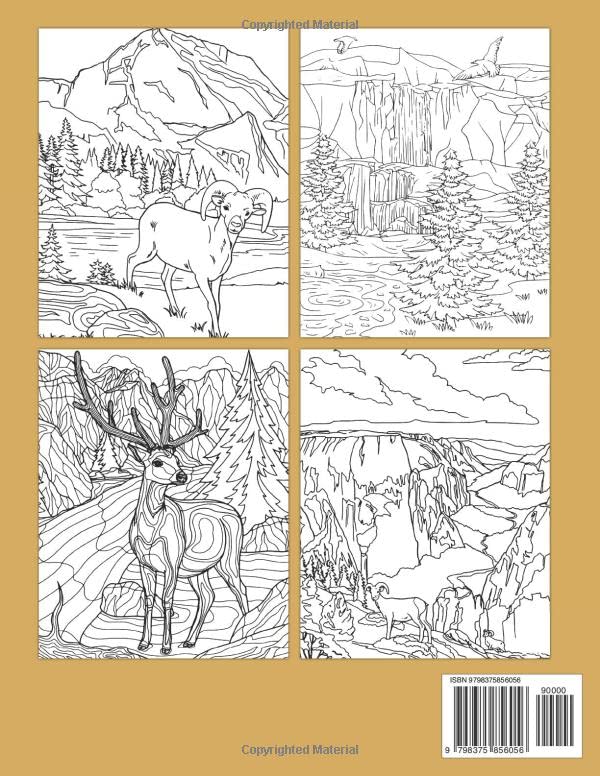 National Parks Coloring Book: Spark Your Imagination And Traveling All The National Parks In The World | Nature Illustrations