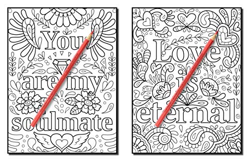 Dreams Come True: An Adult Coloring Book with Fun Inspirational Quotes, Adorable Kawaii Doodles, and Positive Affirmations for Relaxation