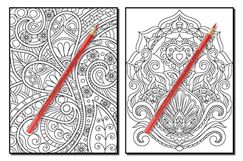 Coloring Books for Adults Relaxation: 100 Magical Swirls Coloring Book with Fun, Easy, and Relaxing Designs