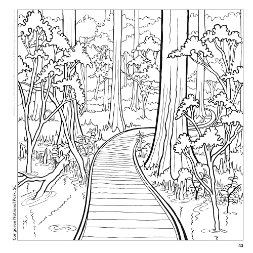 Ultimate National Parks Coloring Book: Amazing Scenes from 63 of the Nation's Most Beautiful Places (Design Originals) Fun Facts, Map of Parks, Plant and Animal Collages, and More