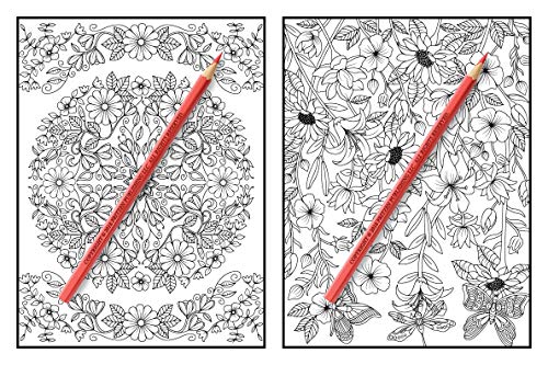 Magical Forest: An Adult Coloring Book with Enchanted Forest Animals, Cute Fantasy Scenes, and Beautiful Flower Designs for Relaxation