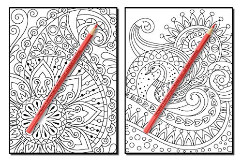 Coloring Books for Adults Relaxation: 100 Magical Swirls Coloring Book with Fun, Easy, and Relaxing Designs