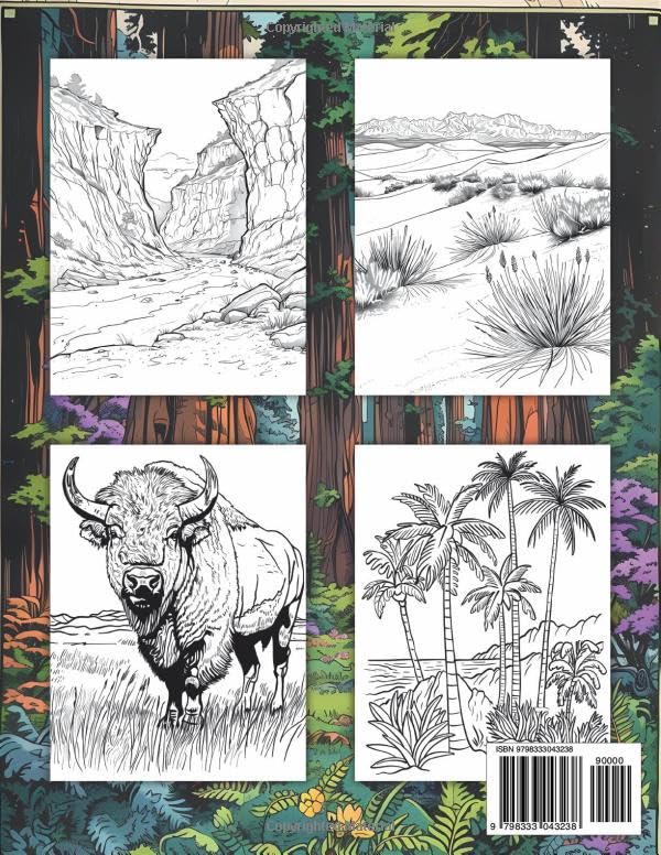 National Parks Coloring Book: Discover the Nature and Forest Wonders of America