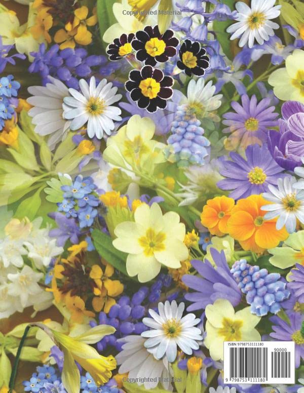 Sketch Book: Notebook for Sketching, Doodling, Drawing, Writing or Painting. 150 Pages, 8.5 x 11 , White Blank Paper. Beautiful Abstract cover