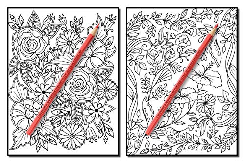 Springtime Flowers: An Adult Coloring Book with Beautiful Spring Flowers, Fun Flower Designs, and Easy Floral Patterns for Relaxation