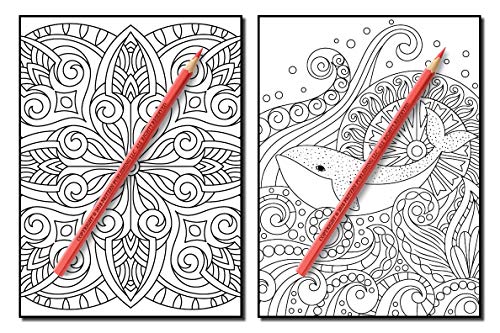 Coloring Books for Adults Relaxation: 100 Magical Swirls Coloring Book with Fun, Easy, and Relaxing Designs