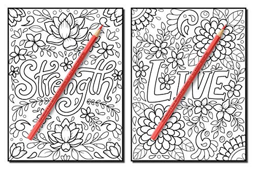 Inspirational Words: An Adult Coloring Book with Fun Word Designs, Cute Kawaii Doodles, and Relaxing Flower Patterns (Inspirational Coloring Books)