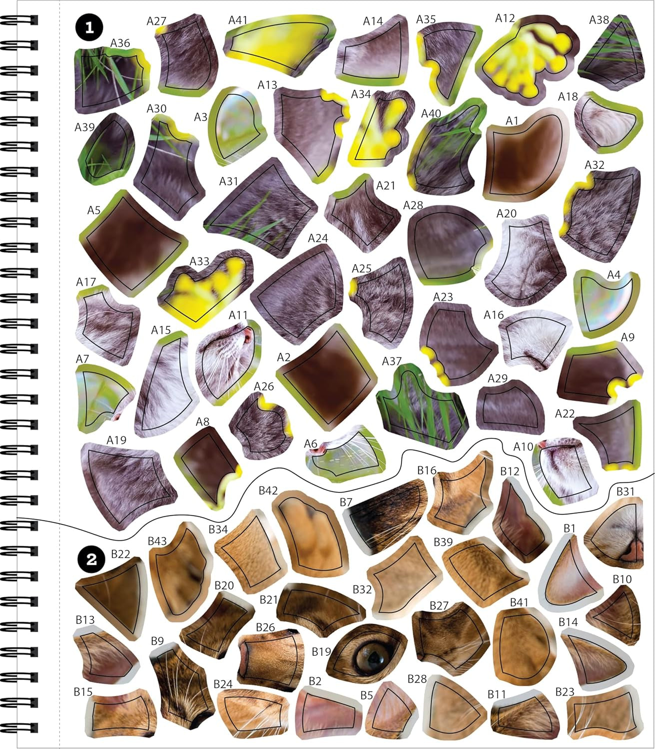 Brain Games - Sticker by Number: All You Need Is Cats (27 Images to Sticker)