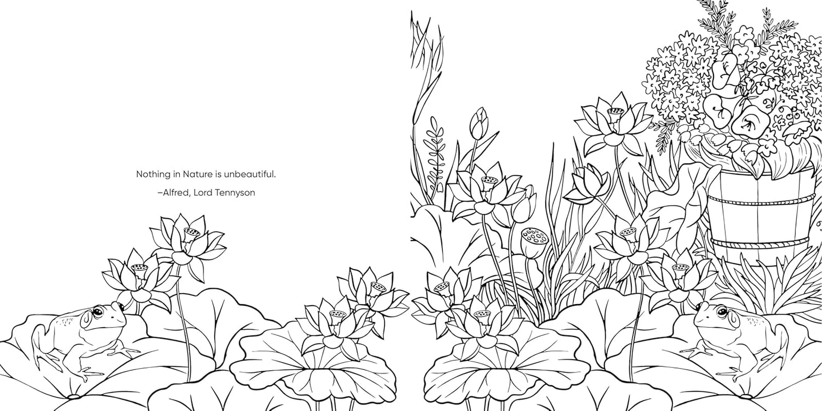 Color Me! (Beautiful Images of Hummingbirds, Flowers, Gardens, Butterflies, and More - with Quotes!) (Keepsake Coloring Books)