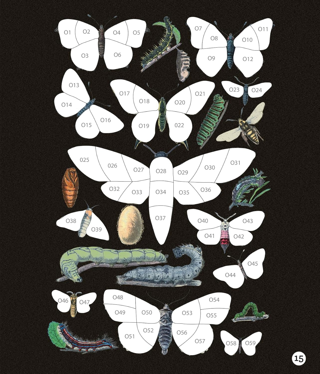 Brain Games - Sticker by Number - Vintage: Butterflies (28 Images to Sticker)