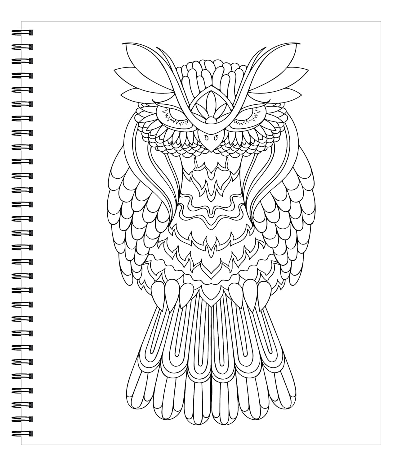 Large Print Easy Color & Frame - Birds (Stress Free Coloring Book)