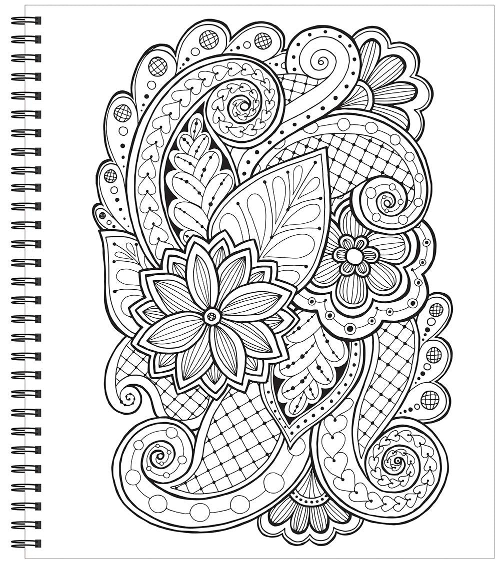 Color Me! - Adult Coloring Book (Skull Cover - Includes a Variety of Images): - Relax - Color - Create