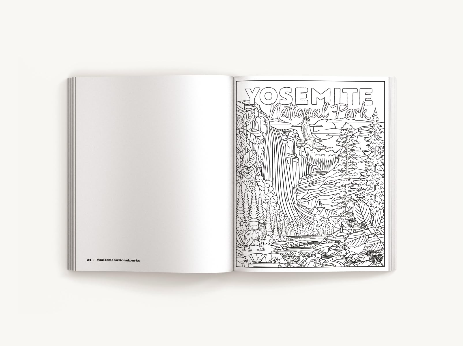 Color Me National Parks: An Adventurous Coloring Book (Color Me Coloring Books)