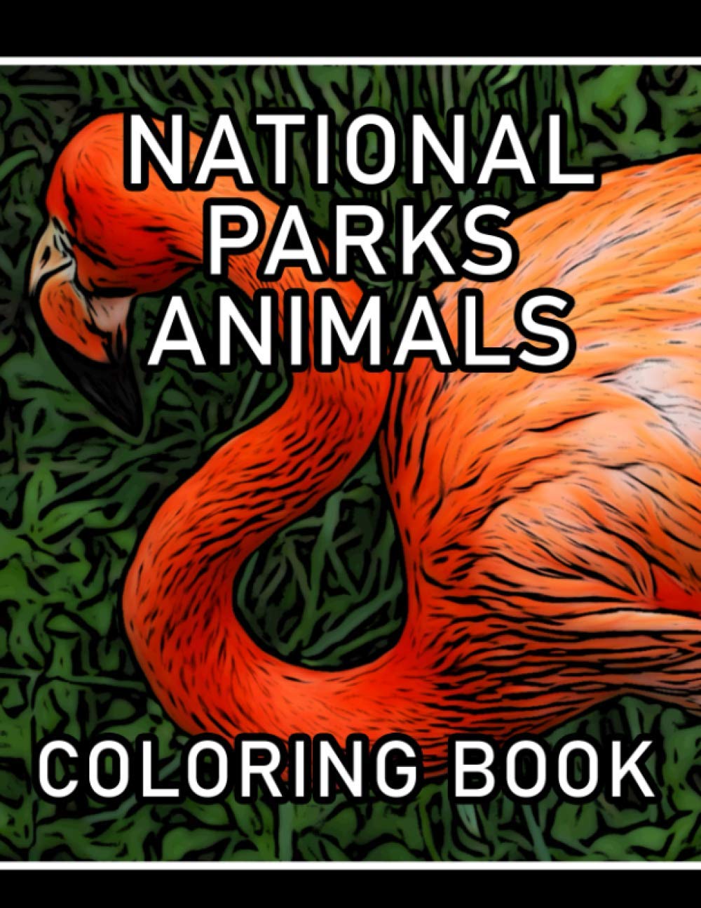 National Parks Animals Coloring Book: Realistic Outdoor Camping Coloring - Explore The Most Stunning Animals Of The US National Parks (stress relieving)
