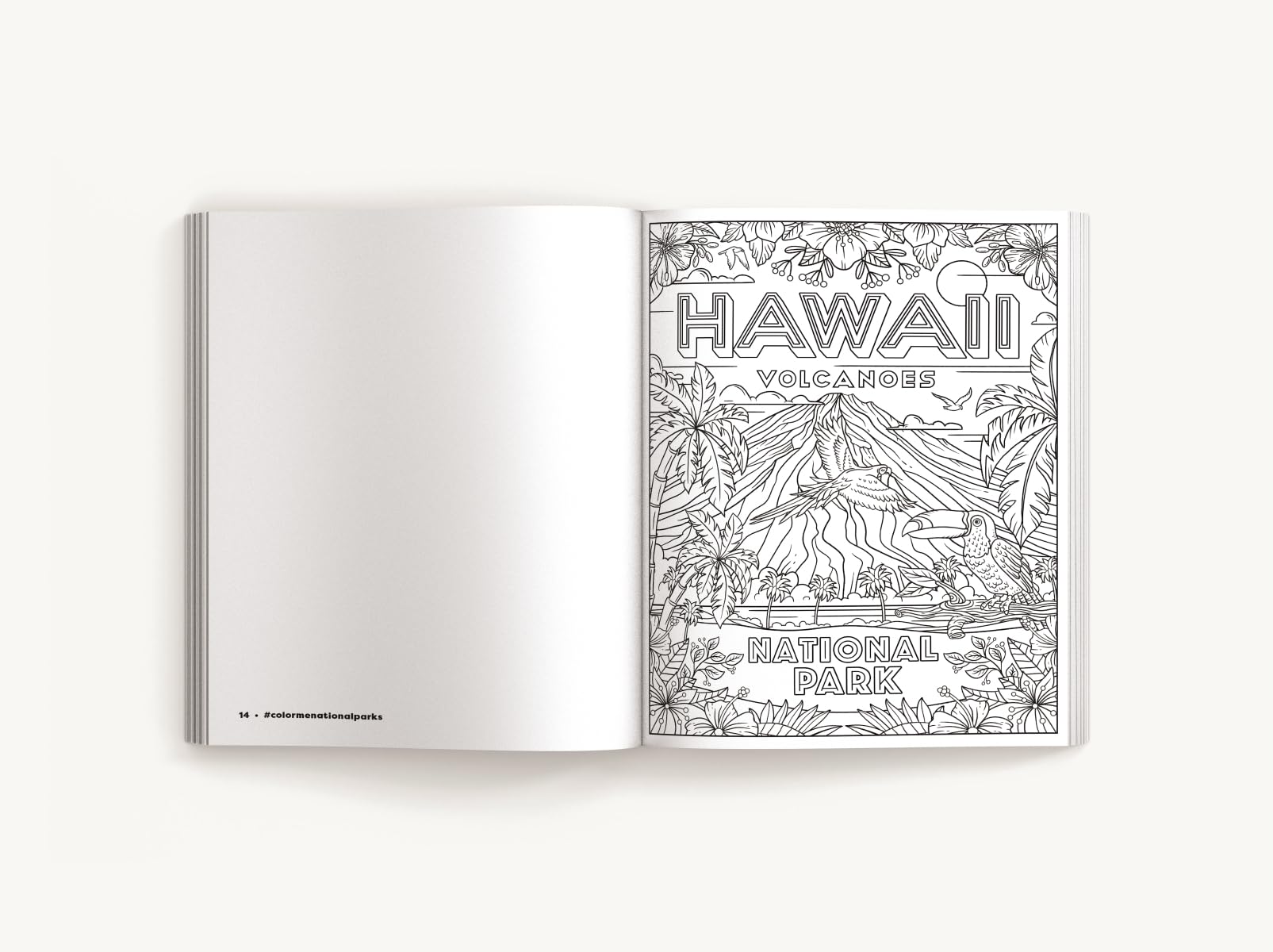 Color Me National Parks: An Adventurous Coloring Book (Color Me Coloring Books)