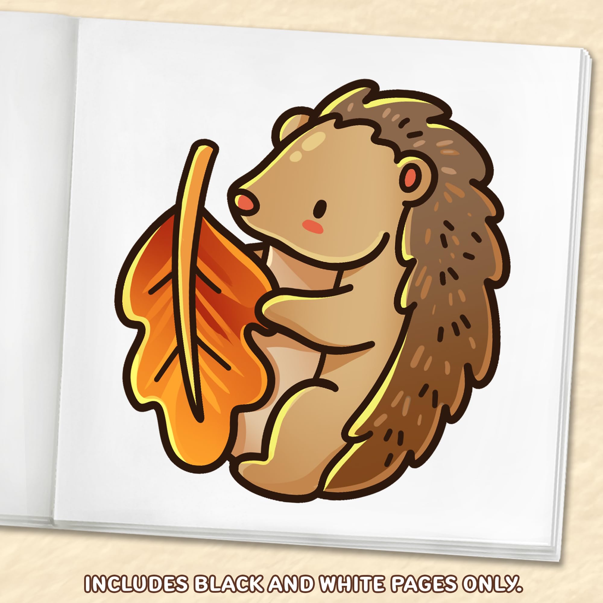 Fall Vibes: Bold and Easy Coloring Book for Adults, Teens, and Seniors with Simple and Relaxing Autumn Designs (Bold and Easy Coloring Books)