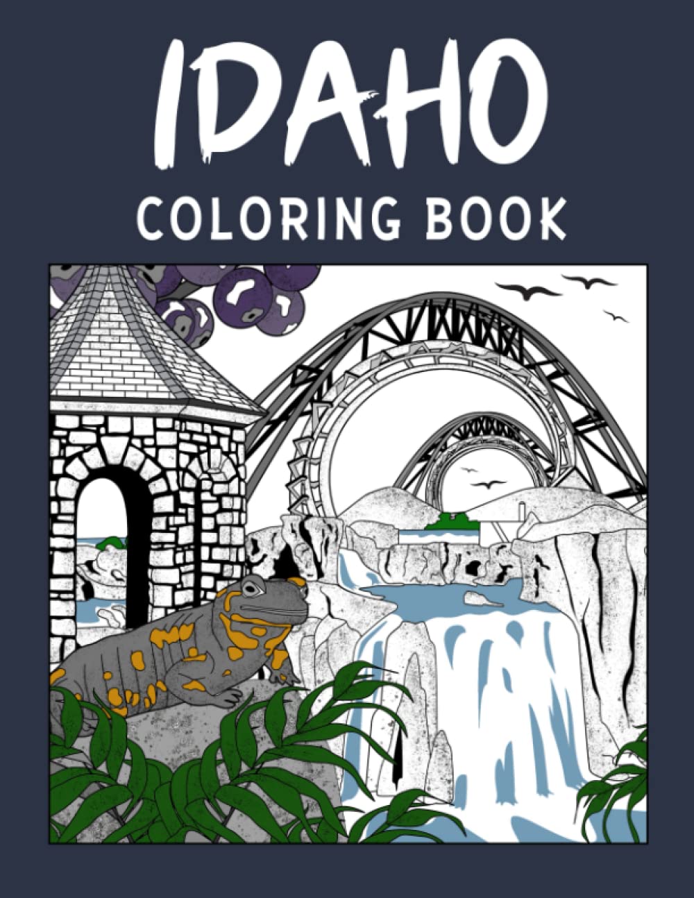 Idaho Coloring Book: Adult Coloring Pages, Painting on USA States Landmarks and Iconic, Stress Relief Pictures, Gifts for Idaho Tourist