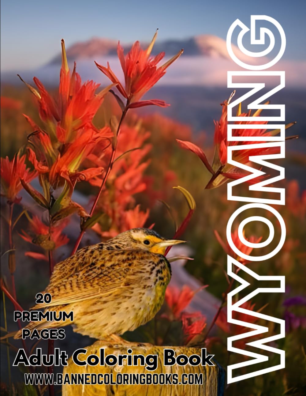 Wyoming Adult Coloring Book: 20 detailed designs of Wyoming including Yellowstone, Grand Teton, animals, and much more to improve relaxation, relieve stress, and express creativity (The 50 States)