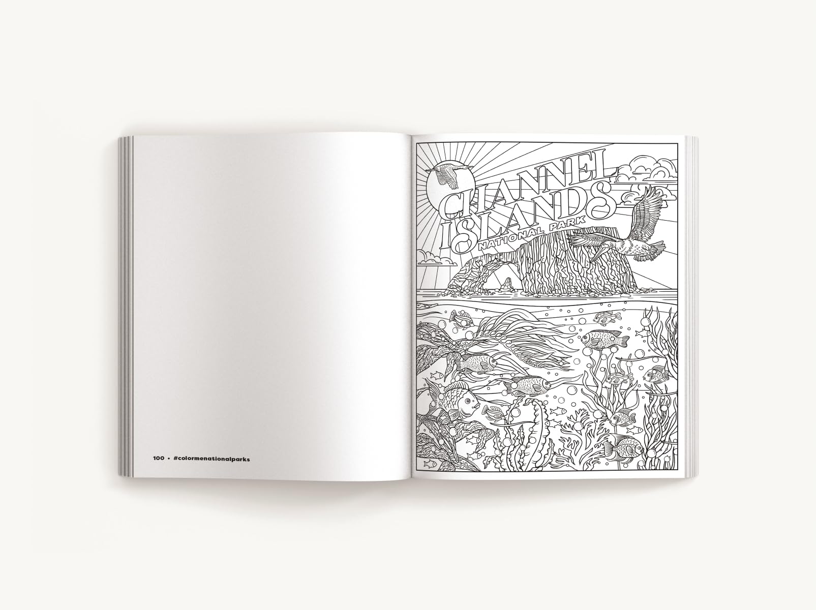 Color Me National Parks: An Adventurous Coloring Book (Color Me Coloring Books)