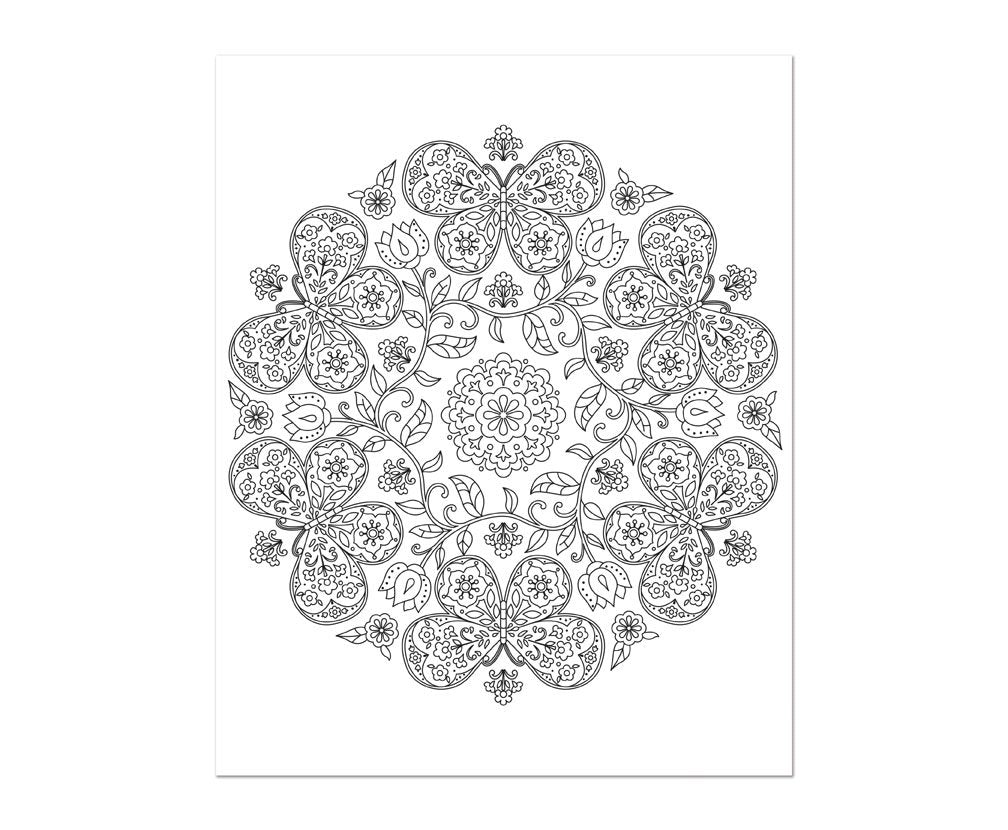 Color & Frame - in the Garden (Adult Coloring Book)