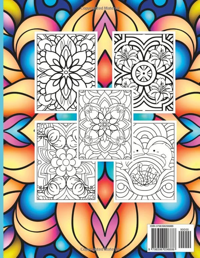 Mindful Pattern Large Print Adult Coloring Book for Women: Mindful Patterns Coloring Book for Adults