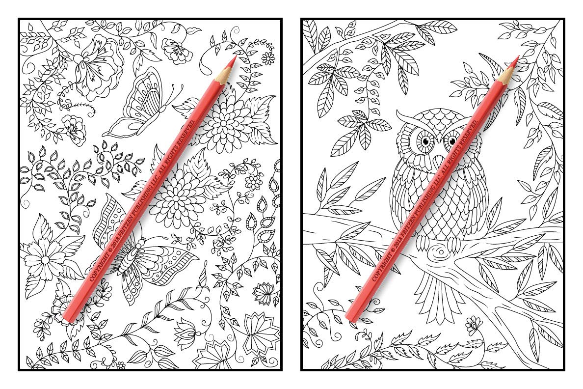 Magical Forest: An Adult Coloring Book with Enchanted Forest Animals, Cute Fantasy Scenes, and Beautiful Flower Designs for Relaxation