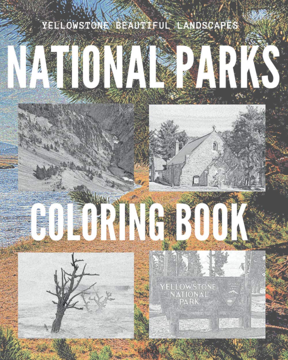 National Parks Coloring Book: Yellowstone Beautiful Landscapes
