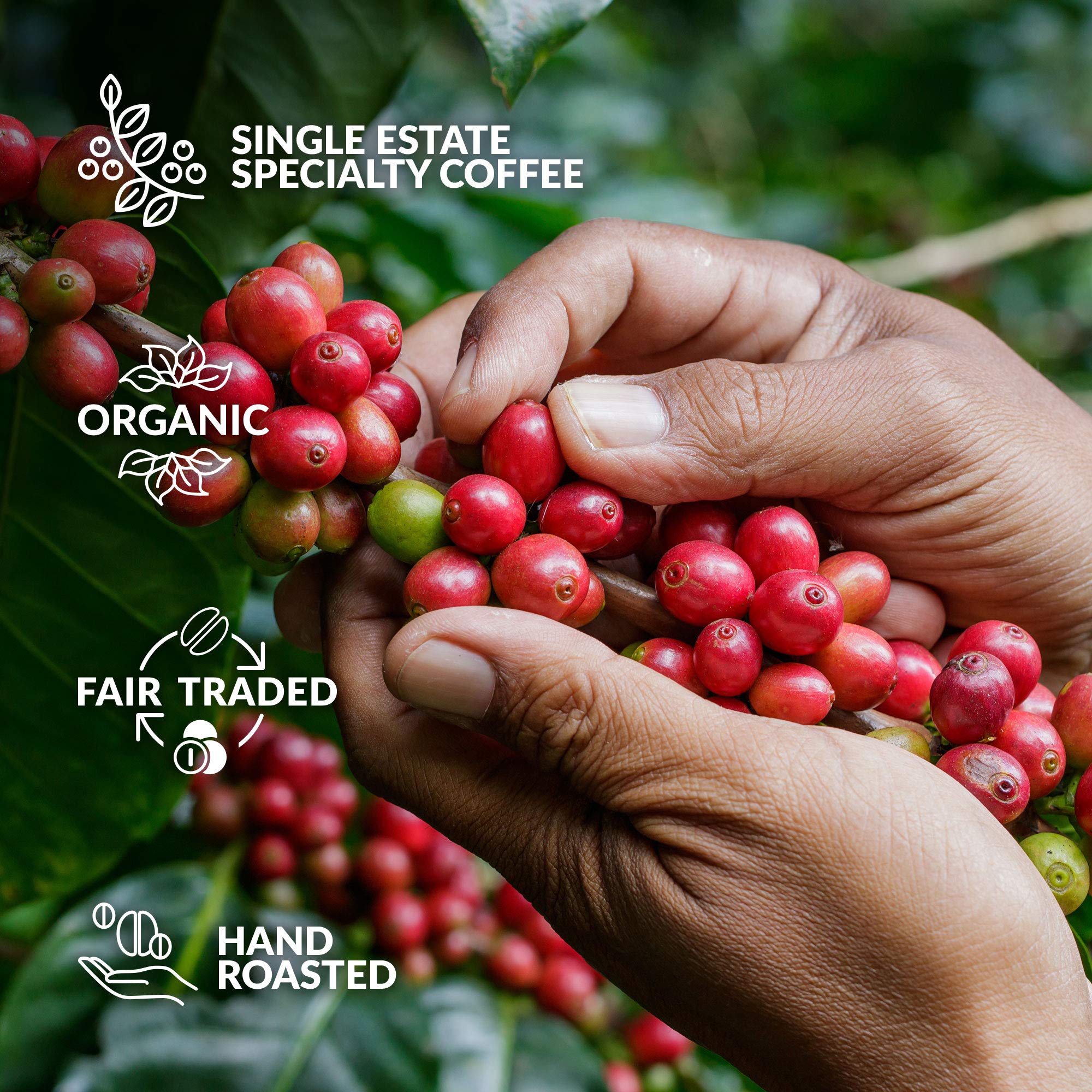 Original Gourmet Coffee Gift Set for Men & Women - 7 World's Finest Single Origin Specialty & Organic Coffees in Innovative Brewers | Sampler Box for Coffee Lover to Brew & Enjoy Anytime, Anywhere