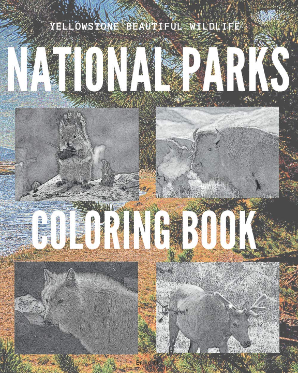 National Parks Coloring Book: Yellowstone Beautiful Wildlife