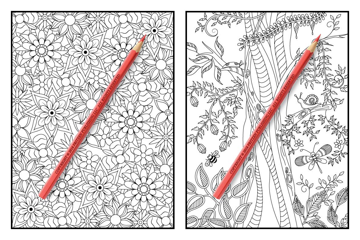 Magical Forest: An Adult Coloring Book with Enchanted Forest Animals, Cute Fantasy Scenes, and Beautiful Flower Designs for Relaxation