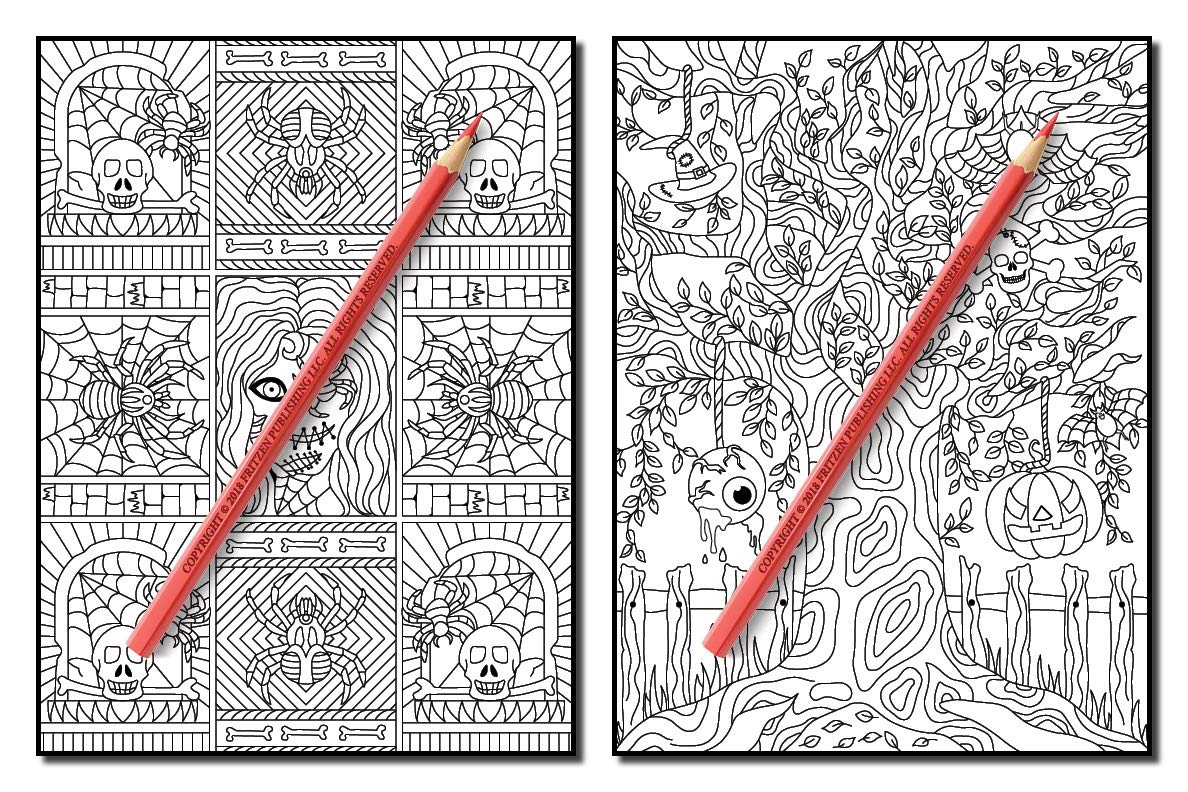 Haunted House: An Adult Coloring Book with Scary Monsters, Creepy Scenes, and a Spooky Adventure