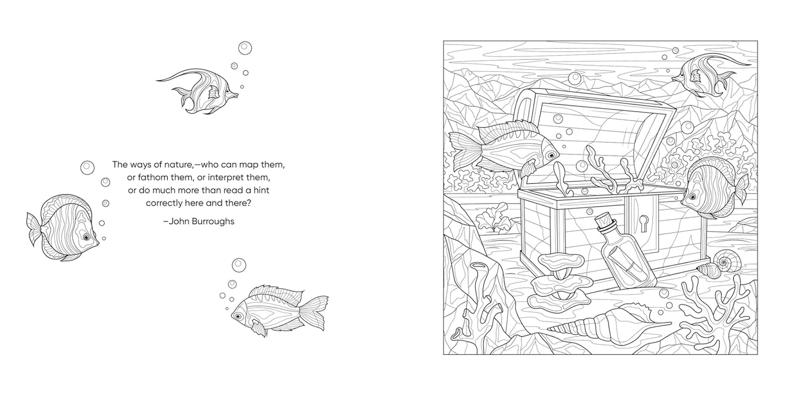 Color Me! (Beautiful Images of Hummingbirds, Flowers, Gardens, Butterflies, and More - with Quotes!) (Keepsake Coloring Books)
