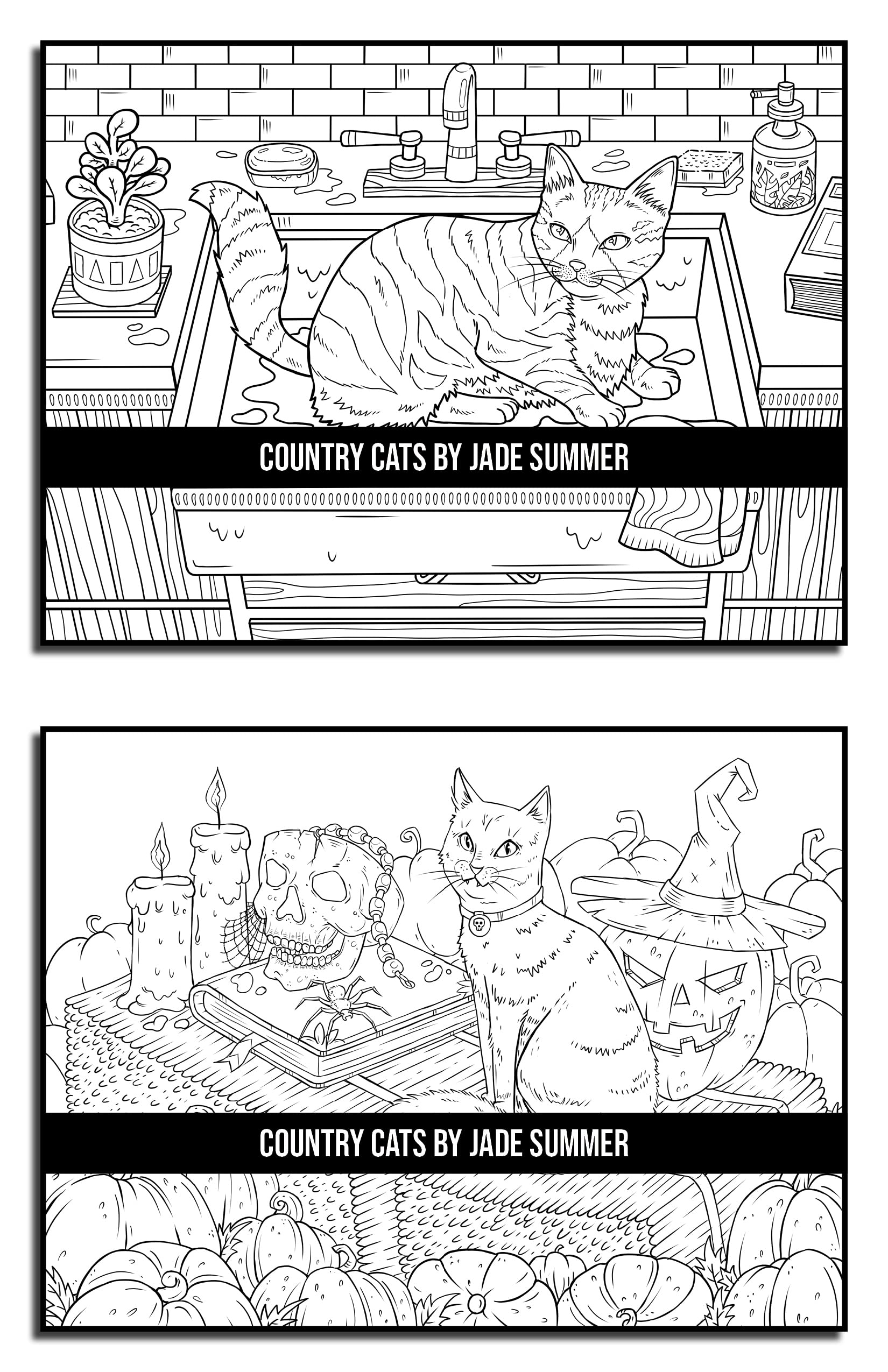 Country Cats Coloring Book: For Adults with Adorable Cats and Relaxing Nature Scenes (Country Coloring Books)
