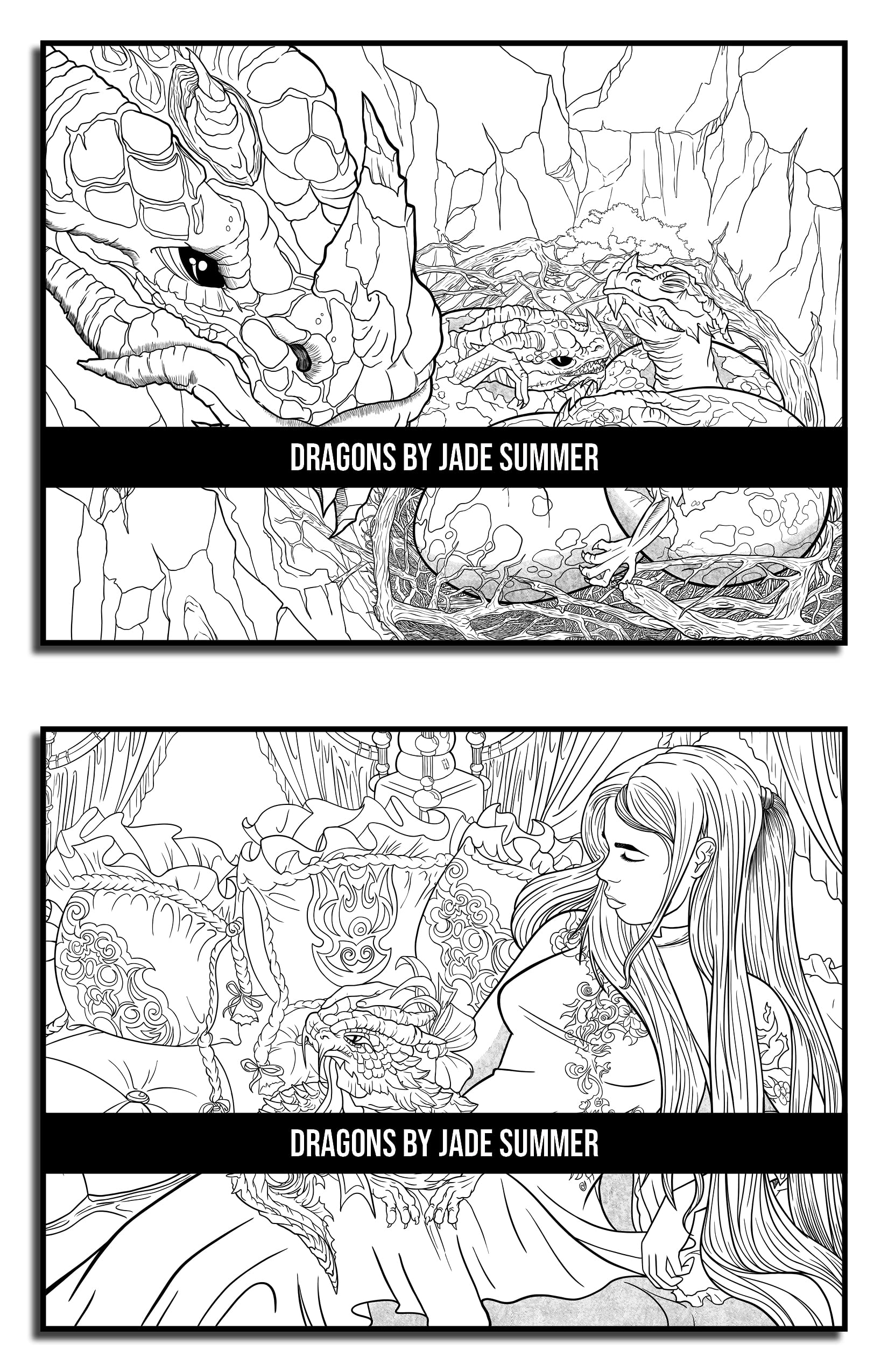 Dragons: An Adult Coloring Book with Mythical Fantasy Creatures and Epic Fantasy Scenes for Dragon Lovers