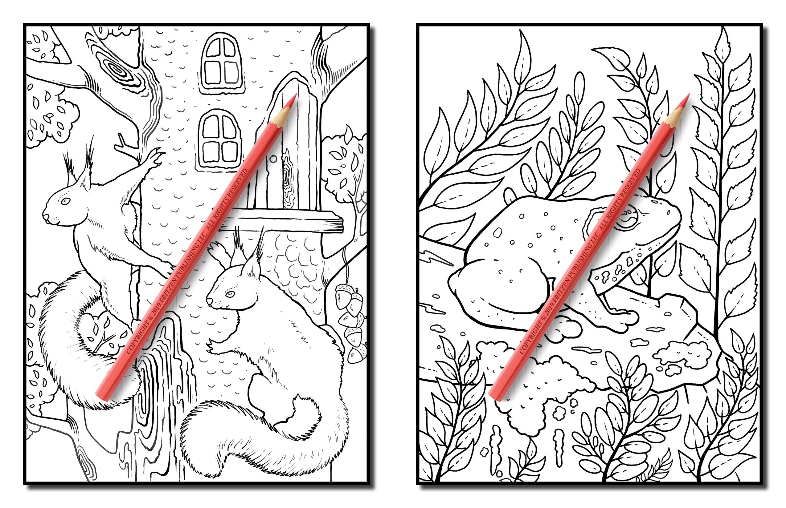 Forest Animals: An Adult Coloring Book with Adorable Woodland Creatures, Delightful Fantasy Elements, and Peaceful Nature Scenes