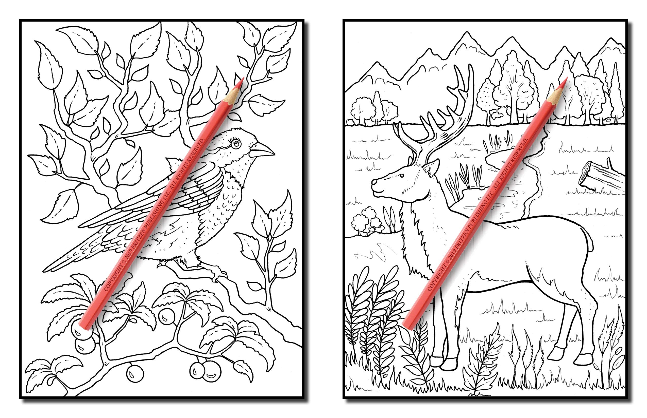 Forest Animals: An Adult Coloring Book with Adorable Woodland Creatures, Delightful Fantasy Elements, and Peaceful Nature Scenes