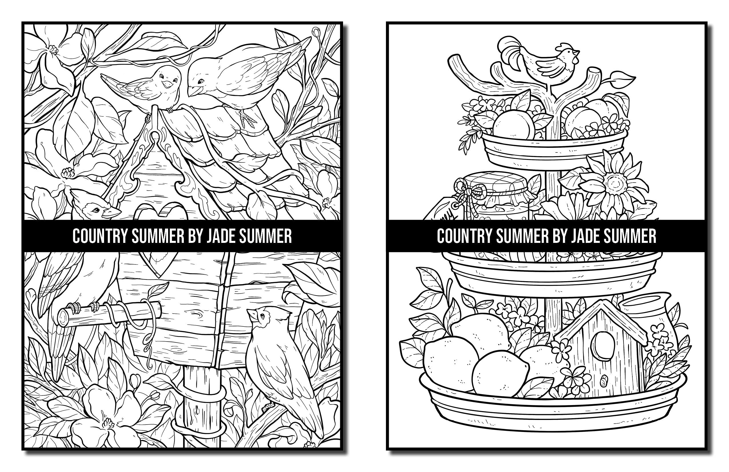 Country Summer: An Adult Coloring Book with 50 Detailed Images of Charming Country Scenes, Beautiful Rustic Landscapes, and Lovable Farm Animals (Country Coloring Books)