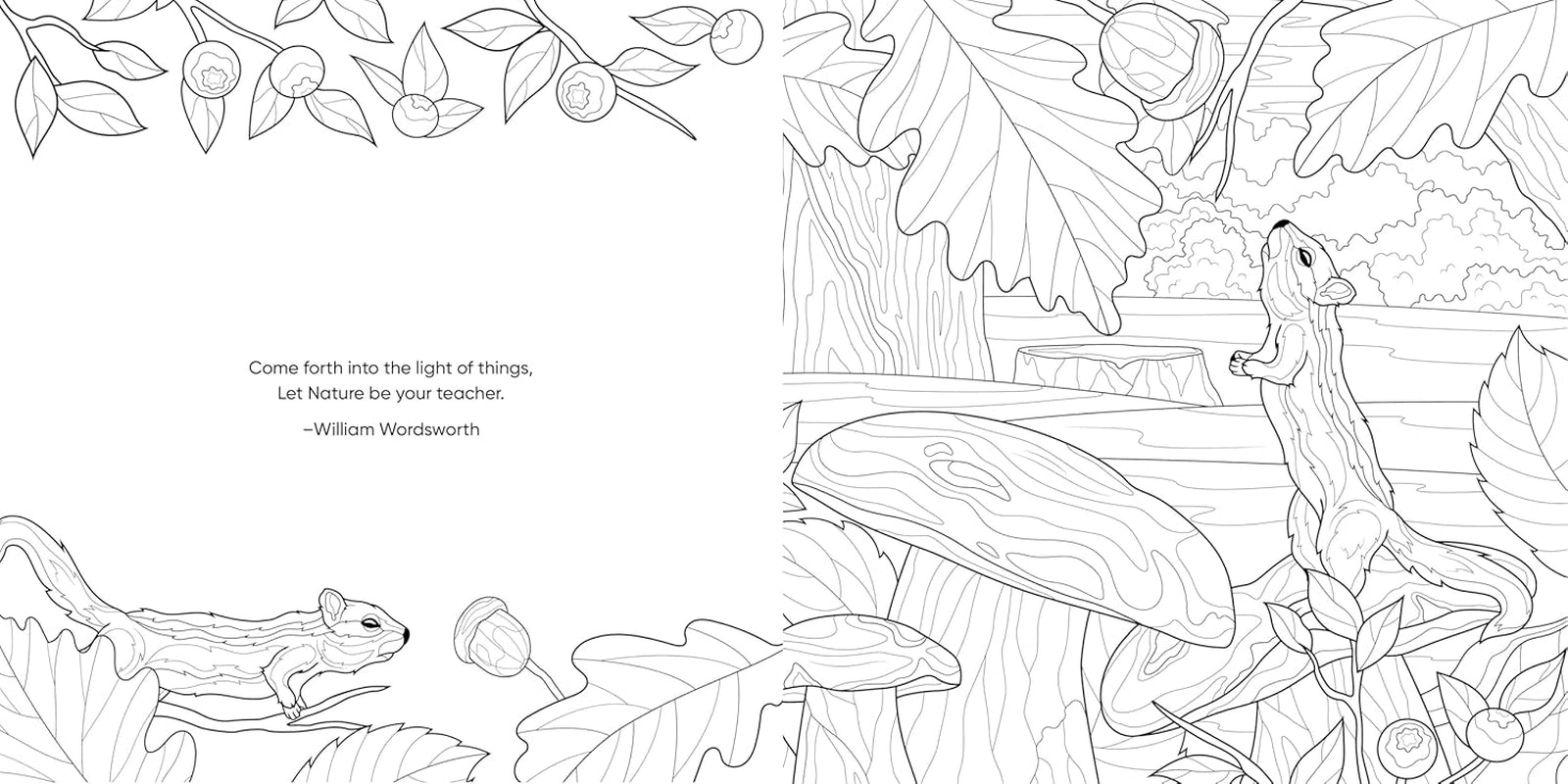 Color Me! (Beautiful Images of Hummingbirds, Flowers, Gardens, Butterflies, and More - with Quotes!) (Keepsake Coloring Books)