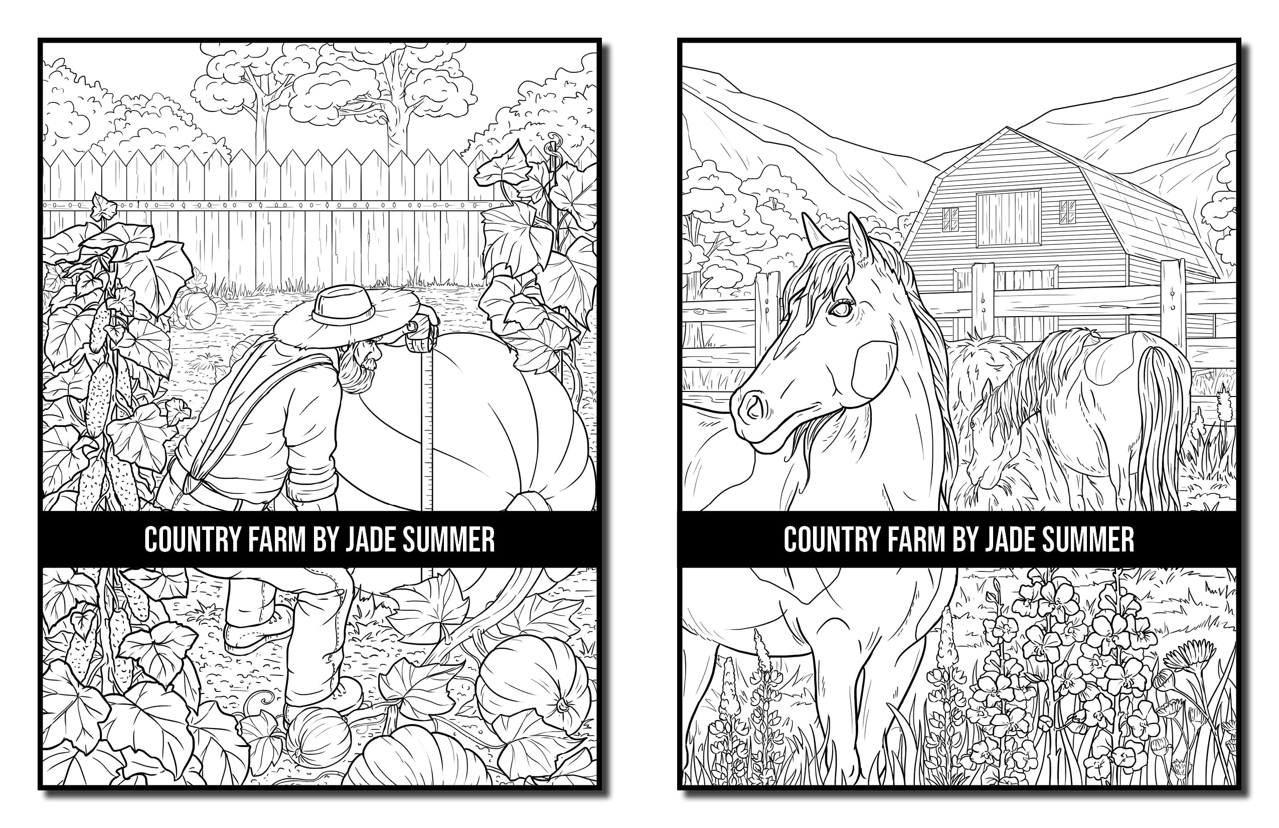 Country Farm Coloring Book: For Adults with Playful Animals, Beautiful Flowers, and Nature Scenes for Relaxation (Country Coloring Books)