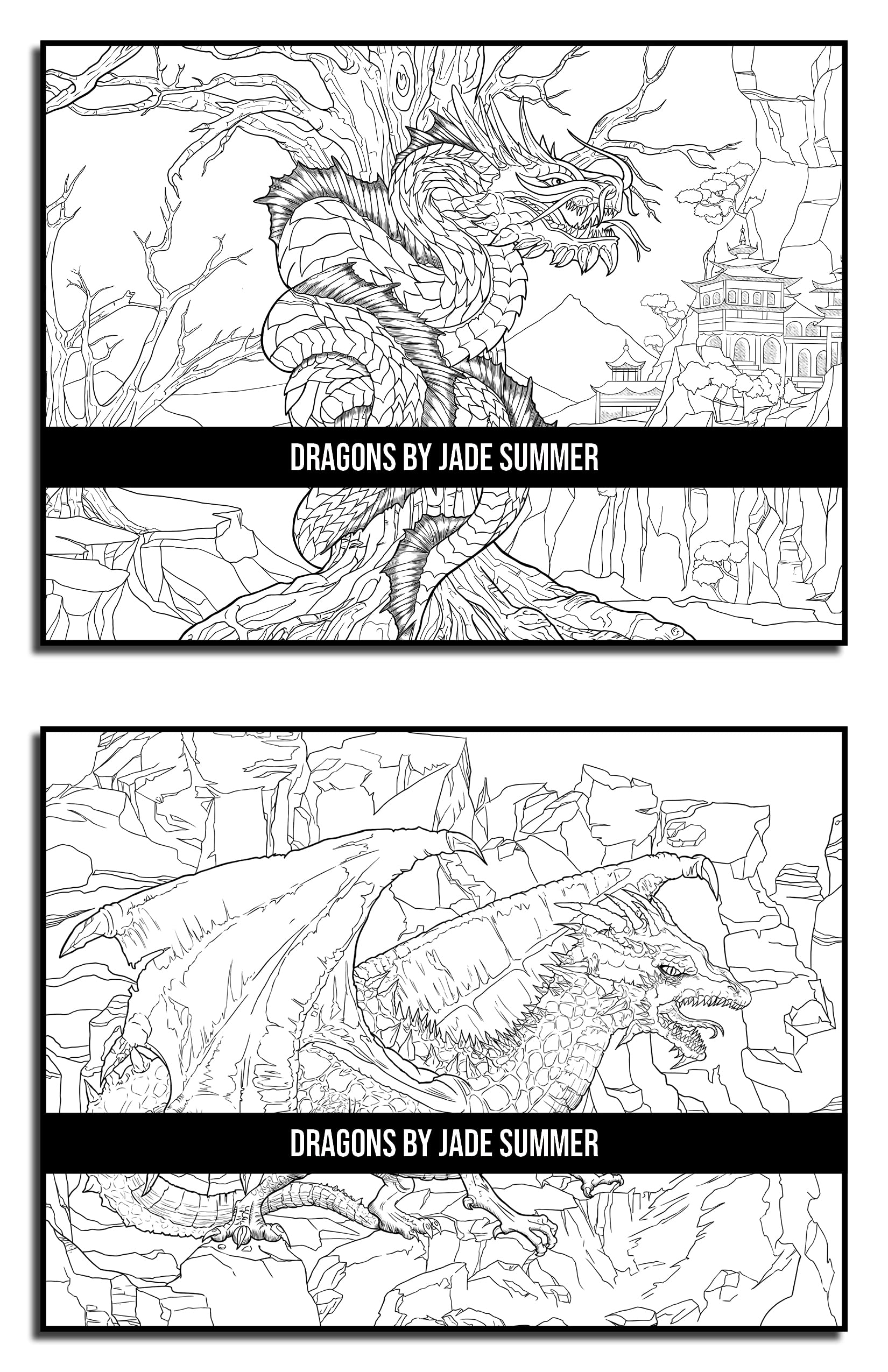Dragons: An Adult Coloring Book with Mythical Fantasy Creatures and Epic Fantasy Scenes for Dragon Lovers