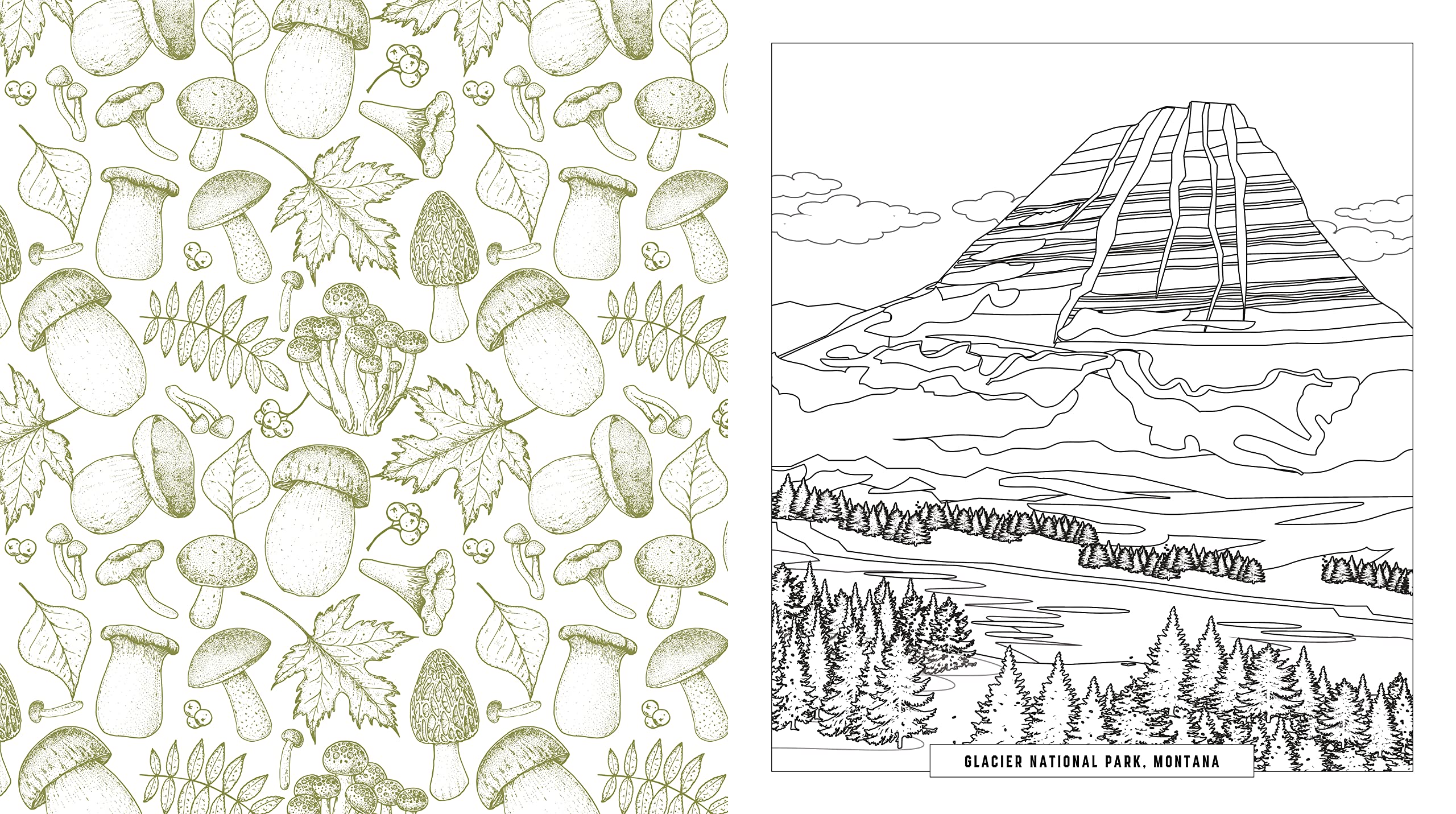 National Parks Coloring Book: Color Your Way Through America's Treasured Landscapes - More than 100 Pages to Color!