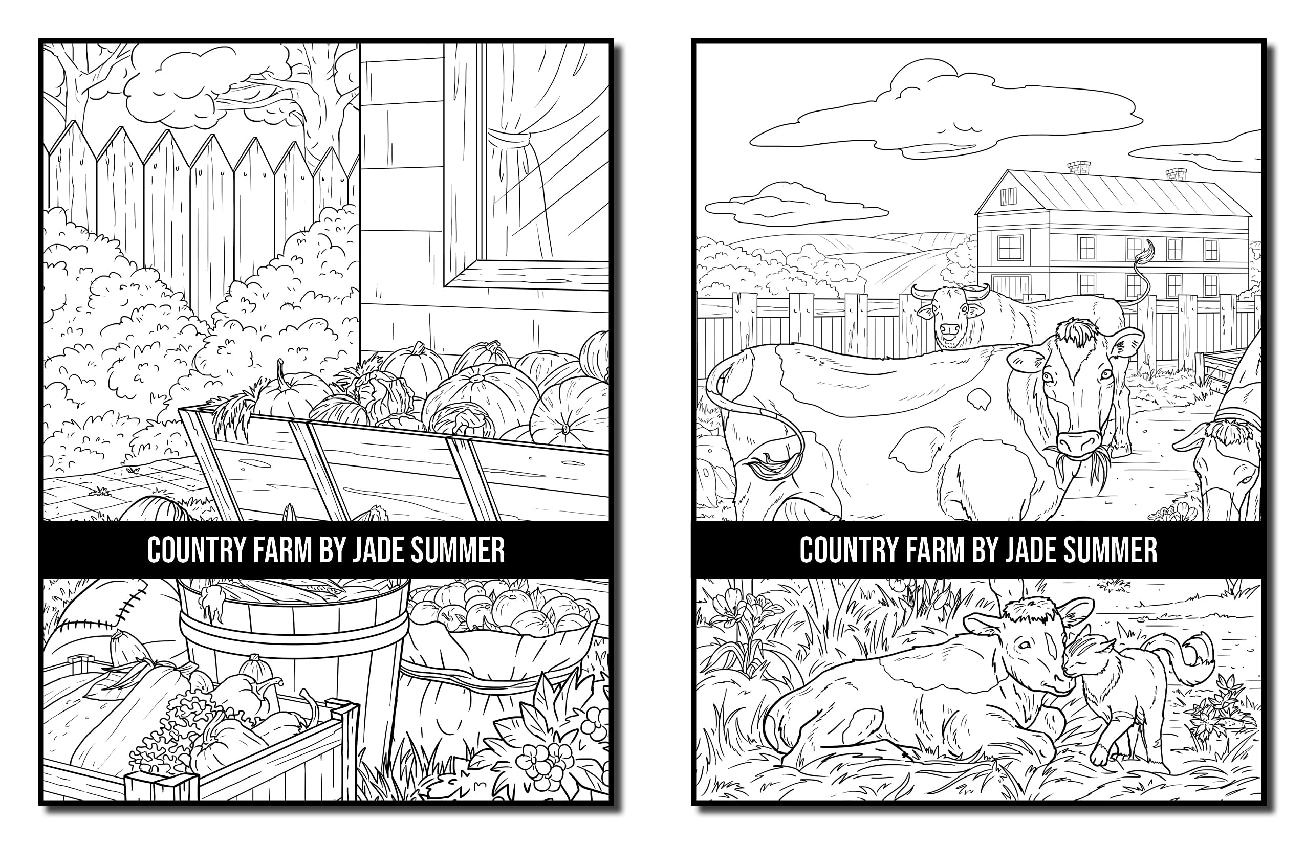 Country Farm Coloring Book: For Adults with Playful Animals, Beautiful Flowers, and Nature Scenes for Relaxation (Country Coloring Books)