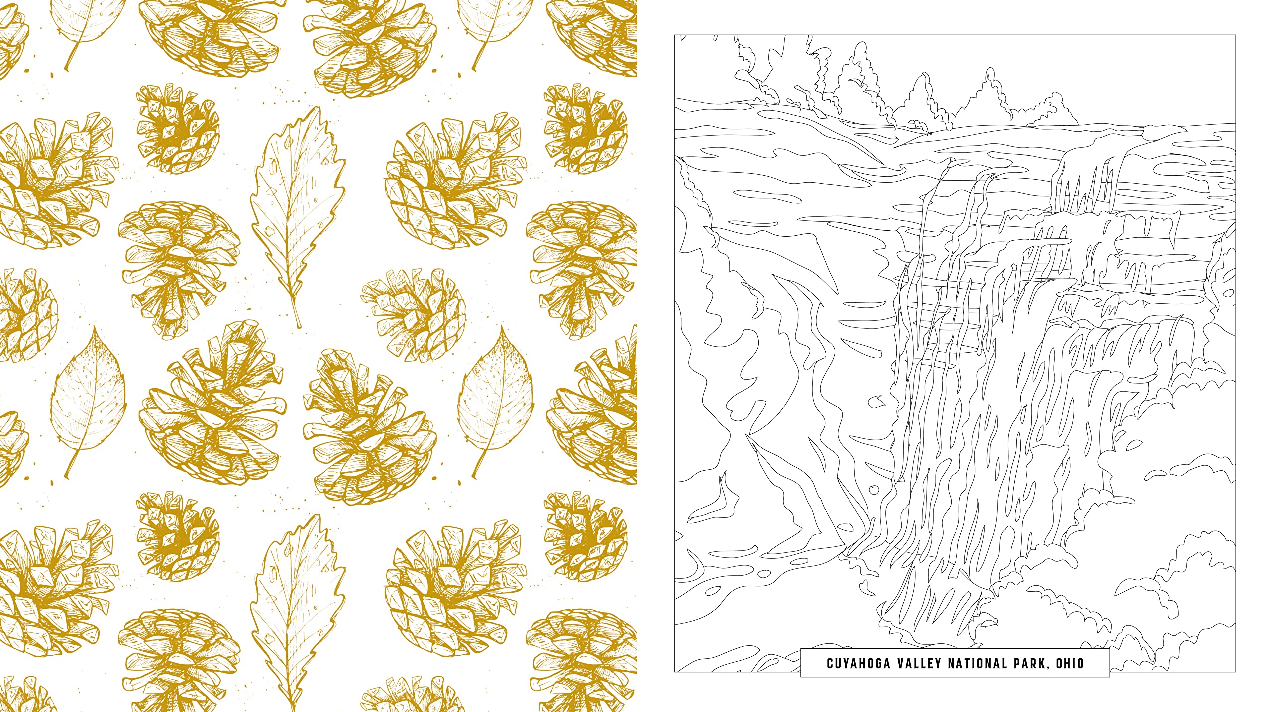 National Parks Coloring Book: Color Your Way Through America's Treasured Landscapes - More than 100 Pages to Color!