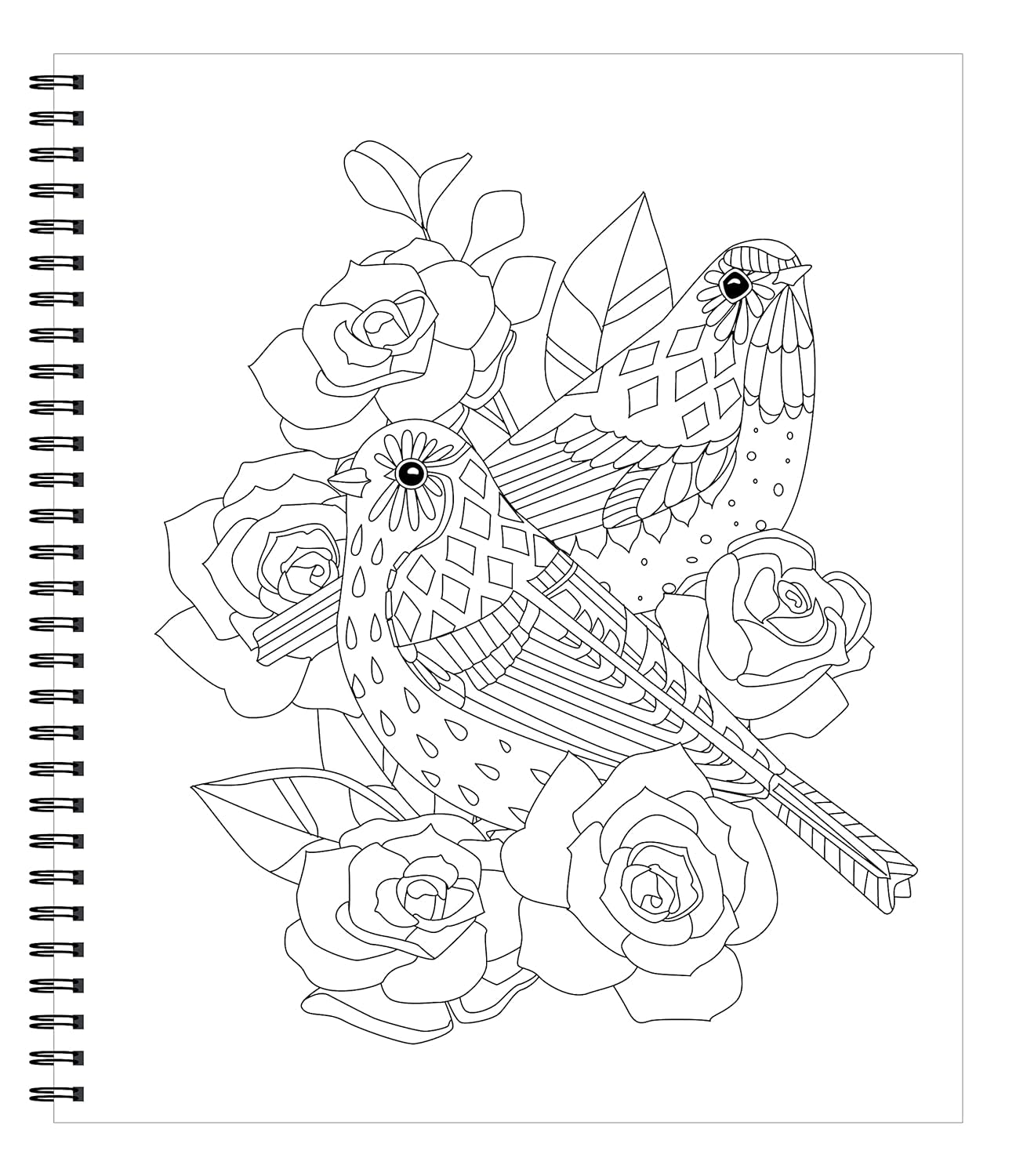 Large Print Easy Color & Frame - Birds (Stress Free Coloring Book)