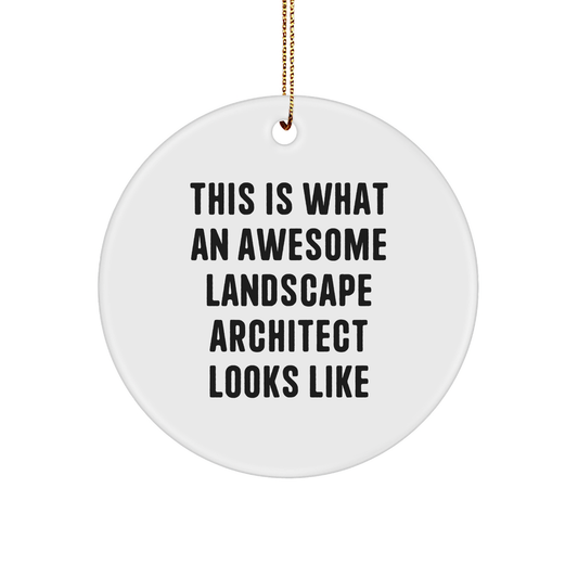 Gifts from Friends for Landscape Architects, Circle Ornament, This Is What An Awesome Landscape Architect Looks Like, Christmas Unique Presents - Image 1
