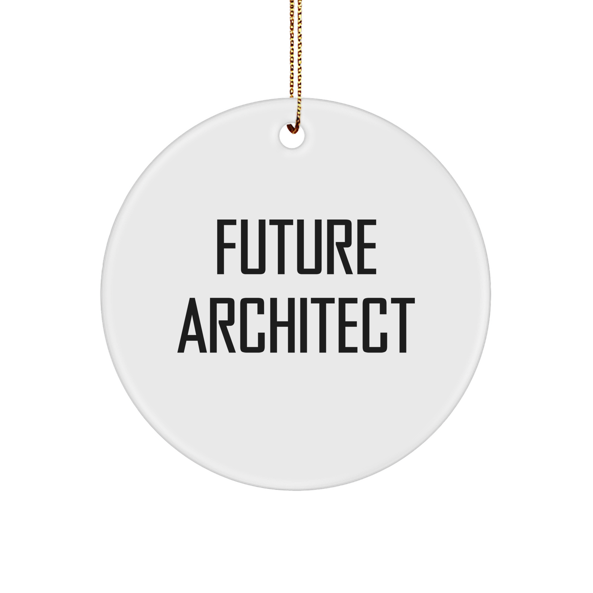 Future Architect Gifts from Men to Friends - Cute Inspirational Circle Ornament for Christmas, Unique Architect Decorations, White MDF Print, Funny Quote for Family, Coworkers, or Alone