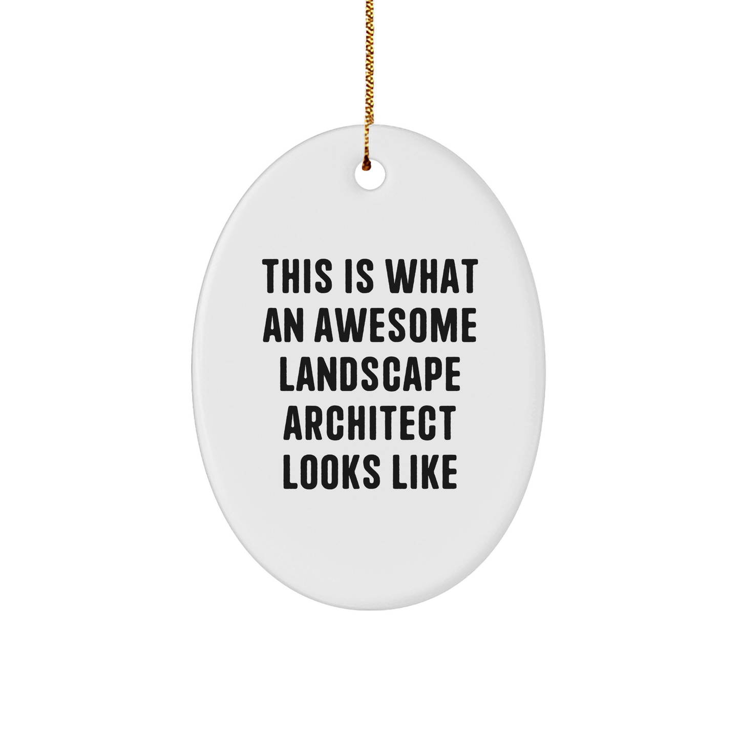 Landscape Architect Gifts - Funny Quote Oval Ornament, Gifts from Friends to Coworkers, for Landscape Architect, Unique Christmas Unique Gifts, Durable MDF Material, Vibrant Sublimation Print - Image 1