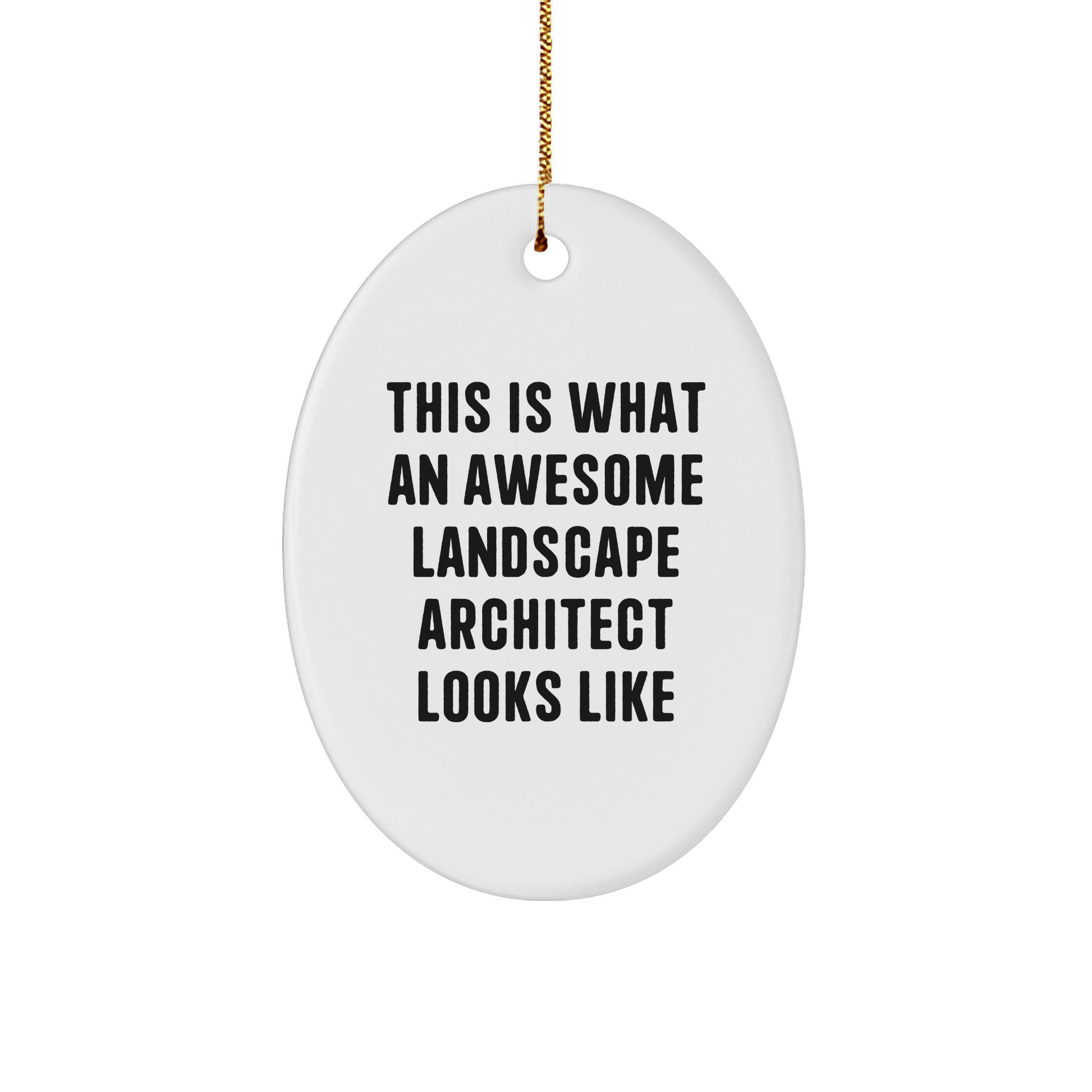Landscape Architect Gifts - Funny Quote Oval Ornament, Gifts from Friends to Coworkers, for Landscape Architect, Unique Christmas Unique Gifts, Durable MDF Material, Vibrant Sublimation Print - Image 1