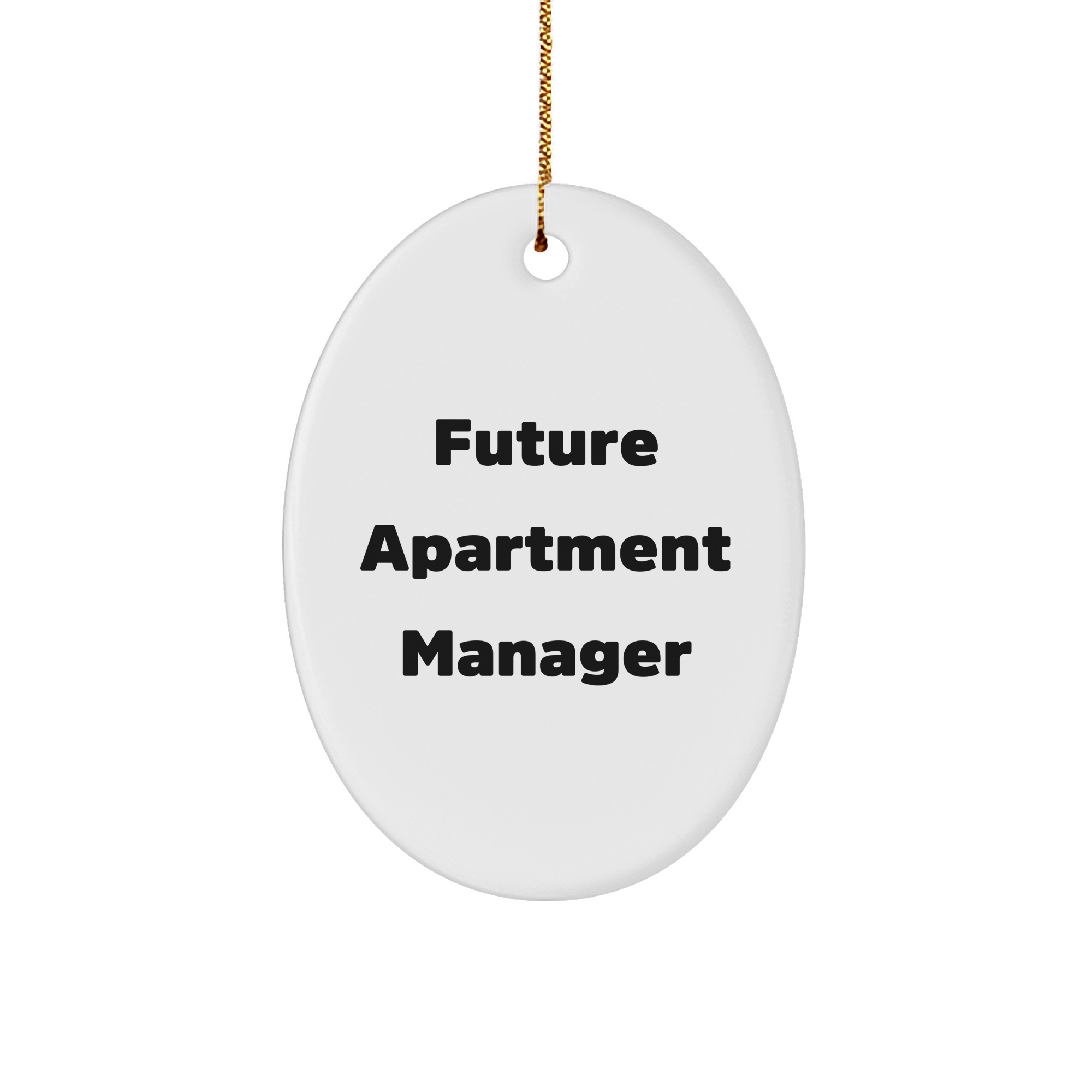 Funny Future Apartment Manager Quotes Oval Ornament Gifts from Family for Christmas
